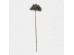 AROMA WISHPER ΛΟΥΛΟΥΔΙ ΤΕΧΝΗΤΟ 60cm FOAM ΠΡΑΣΙΝΟ PVC AROMA WISHPER ΛΟΥΛΟΥΔΙ ΤΕΧΝΗΤΟ 60cm FOAM ΠΡΑΣΙΝΟ PVC