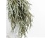 EUCALYPTUS BLOOMS ΚΛΑΔΙ ΤΕΧΝΗΤΟ 90cm FOAM ΠΡΑΣΙΝΟ EUCALYPTUS BLOOMS ΚΛΑΔΙ ΤΕΧΝΗΤΟ 90cm FOAM ΠΡΑΣΙΝΟ