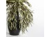 EUCALYPTUS BLOOMS ΚΛΑΔΙ ΤΕΧΝΗΤΟ 90cm FOAM ΠΡΑΣΙΝΟ EUCALYPTUS BLOOMS ΚΛΑΔΙ ΤΕΧΝΗΤΟ 90cm FOAM ΠΡΑΣΙΝΟ