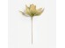 WILDFLOWERS ΚΛΑΔΙ ΤΕΧΝΗΤΟ 68cm FOAM ΠΡΑΣΙΝΟ
