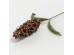 NATURE ELEGANCE ΛΟΥΛΟΥΔΙ ΤΕΧΝΗΤΟ 67cm FOAM ΚΑΦΕ ΠΡΑΣΙΝΟ NATURE ELEGANCE ΛΟΥΛΟΥΔΙ ΤΕΧΝΗΤΟ 67cm FOAM ΚΑΦΕ ΠΡΑΣΙΝΟ