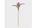 SPRING SPLENDOR ΛΟΥΛΟΥΔΙ ΤΕΧΝΗΤΟ 70cm FOAM ΜΩΒ ΠΡΑΣΙΝΟ PVC SPRING SPLENDOR ΛΟΥΛΟΥΔΙ ΤΕΧΝΗΤΟ 70cm FOAM ΜΩΒ ΠΡΑΣΙΝΟ PVC