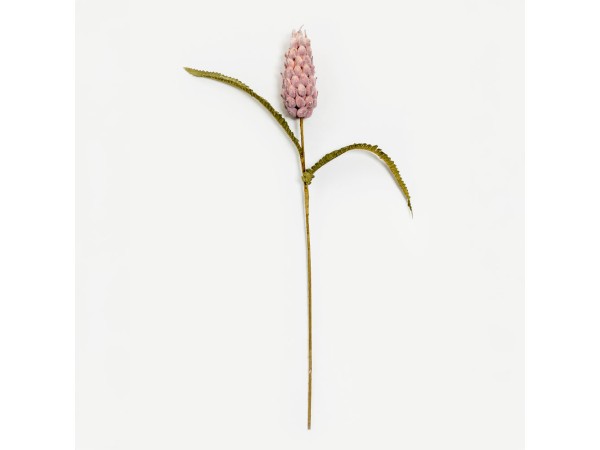 SPRING SPLENDOR ΛΟΥΛΟΥΔΙ ΤΕΧΝΗΤΟ 75cm FOAM ΡΟΖ ΠΡΑΣΙΝΟ SPRING SPLENDOR ΛΟΥΛΟΥΔΙ ΤΕΧΝΗΤΟ 75cm FOAM ΡΟΖ ΠΡΑΣΙΝΟ