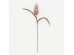 SPRING SPLENDOR ΛΟΥΛΟΥΔΙ ΤΕΧΝΗΤΟ 75cm FOAM ΡΟΖ ΠΡΑΣΙΝΟ SPRING SPLENDOR ΛΟΥΛΟΥΔΙ ΤΕΧΝΗΤΟ 75cm FOAM ΡΟΖ ΠΡΑΣΙΝΟ