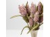 SPRING SPLENDOR ΛΟΥΛΟΥΔΙ ΤΕΧΝΗΤΟ 75cm FOAM ΡΟΖ ΠΡΑΣΙΝΟ SPRING SPLENDOR ΛΟΥΛΟΥΔΙ ΤΕΧΝΗΤΟ 75cm FOAM ΡΟΖ ΠΡΑΣΙΝΟ