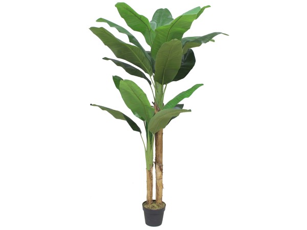BANANA ΔΕΝΤΡΟ ΤΕΧΝΗΤΟ ΣΕ ΓΛΑΣΤΡΑ 180cm PEVA ΠΡΑΣΙΝΟ BANANA ΔΕΝΤΡΟ ΤΕΧΝΗΤΟ ΣΕ ΓΛΑΣΤΡΑ 180cm PEVA ΠΡΑΣΙΝΟ