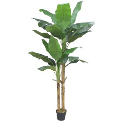 BANANA ΔΕΝΤΡΟ ΤΕΧΝΗΤΟ ΣΕ ΓΛΑΣΤΡΑ 220cm PEVA ΠΡΑΣΙΝΟ