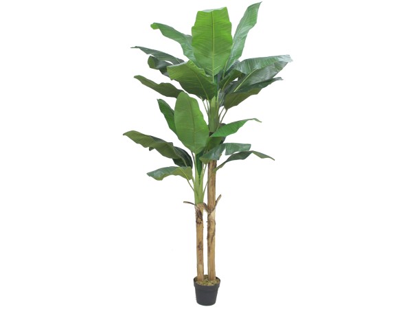 BANANA ΔΕΝΤΡΟ ΤΕΧΝΗΤΟ ΣΕ ΓΛΑΣΤΡΑ 220cm PEVA ΠΡΑΣΙΝΟ BANANA ΔΕΝΤΡΟ ΤΕΧΝΗΤΟ ΣΕ ΓΛΑΣΤΡΑ 220cm PEVA ΠΡΑΣΙΝΟ