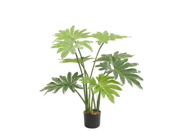 PHILODENDRON ΔΕΝΤΡΟ ΤΕΧΝΗΤΟ ΣΕ ΓΛΑΣΤΡΑ 80cm PEVA ΠΡΑΣΙΝΟ PHILODENDRON ΔΕΝΤΡΟ ΤΕΧΝΗΤΟ ΣΕ ΓΛΑΣΤΡΑ 80cm PEVA ΠΡΑΣΙΝΟ