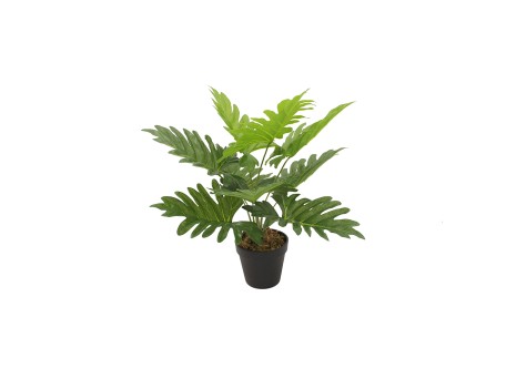 PHILODENDRON ΦΥΤΟ ΤΕΧΝΗΤΟ ΣΕ ΓΛΑΣΤΡΑ 45cm PEVA ΠΡΑΣΙΝΟ