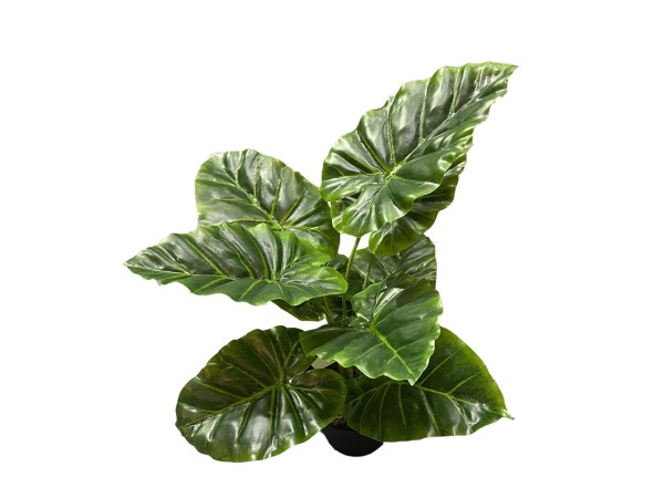 TARO ΦΥΤΟ ΤΕΧΝΗΤΟ ΣΕ ΓΛΑΣΤΡΑ 35cm PEVA ΠΡΑΣΙΝΟ TARO ΦΥΤΟ ΤΕΧΝΗΤΟ ΣΕ ΓΛΑΣΤΡΑ 35cm PEVA ΠΡΑΣΙΝΟ