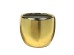 ORO ΒΑΖΟ 28x28x24cm ΚΕΡΑΜΙΚΟ ΧΡΥΣΟ ORO ΒΑΖΟ 28x28x24cm ΚΕΡΑΜΙΚΟ ΧΡΥΣΟ