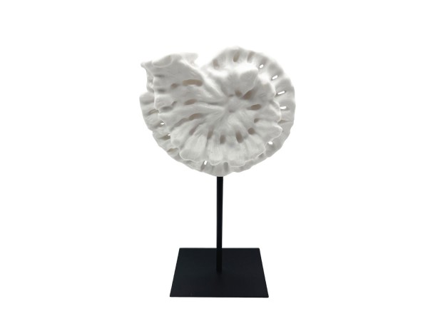 SHELL ΔΙΑΚΟΣΜΗΤΙΚΟ ΚΟΧΥΛΙ 20x11x36cm POLYRESIN ΑΣΠΡΟ ΜΑΥΡΟ ΜΕΤΑΛΛΟ SHELL ΔΙΑΚΟΣΜΗΤΙΚΟ ΚΟΧΥΛΙ 20x11x36cm POLYRESIN ΑΣΠΡΟ ΜΑΥΡΟ ΜΕΤΑΛΛΟ