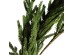 FORET ΓΙΡΛΑΝΤΑ 150cm ΣΙΔΕΡΟ ΠΡΑΣΙΝΟ PVC FORET ΓΙΡΛΑΝΤΑ 150cm ΣΙΔΕΡΟ ΠΡΑΣΙΝΟ PVC