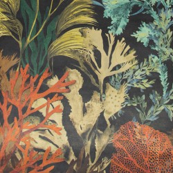 Ταπετσαρία HOHENBERGER TROPICAL 26737-HTM – Ταπετσαρίες τοίχου