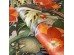 Ταπετσαρία HOHENBERGER TROPICAL 26747-HTM – Ταπετσαρίες τοίχου