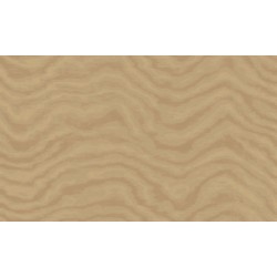 Ταπετσαρία CRISTIANA MASI AURA 42223-PAR