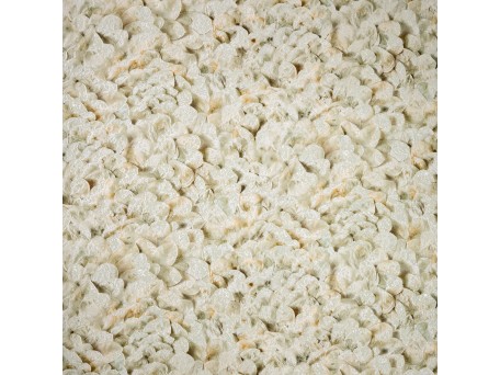 Ταπετσαρία HOHENBERGER SALT 65304-HTM – Ταπετσαρίες τοίχου