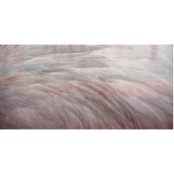Ταπετσαρία KT-Exclusive GEMINI KT059M-MATTVINYL-KTE