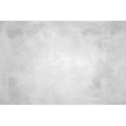 Ταπετσαρία KT-Exclusive GEMINI KT506M-D-M-A2-MATTVINYL-KTE