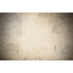 Ταπετσαρία KT-Exclusive GEMINI KT706M-E-M-A2-MATTVINYL-KTE