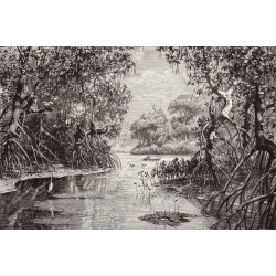 Ταπετσαρία DUTCH WALL DECOR NATURAL HISTORY NH250005-DWD