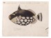 Ταπετσαρία DUTCH WALL DECOR NATURAL HISTORY NH250007-DWD