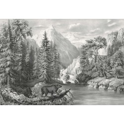 Ταπετσαρία DUTCH WALL DECOR NATURAL HISTORY NH250008-DWD