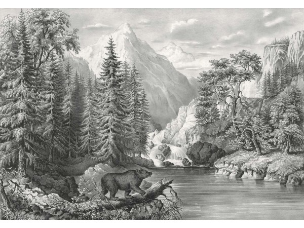 Ταπετσαρία DUTCH WALL DECOR NATURAL HISTORY NH250008-DWD