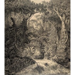 Ταπετσαρία DUTCH WALL DECOR NATURAL HISTORY NH250010-DWD