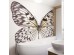 Ταπετσαρία DUTCH WALL DECOR NATURAL HISTORY NH250015-DWD