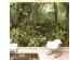 Ταπετσαρία DUTCH WALL DECOR NATURAL HISTORY NH250017-DWD