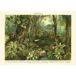 Ταπετσαρία DUTCH WALL DECOR NATURAL HISTORY NH250017-DWD