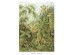 Ταπετσαρία DUTCH WALL DECOR NATURAL HISTORY NH250018-DWD