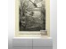 Ταπετσαρία DUTCH WALL DECOR NATURAL HISTORY NH250022-DWD