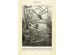 Ταπετσαρία DUTCH WALL DECOR NATURAL HISTORY NH250022-DWD