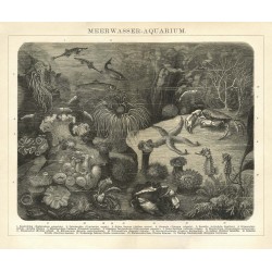 Ταπετσαρία DUTCH WALL DECOR NATURAL HISTORY NH250023-DWD