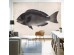 Ταπετσαρία DUTCH WALL DECOR NATURAL HISTORY NH250026-DWD