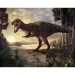 Ταπετσαρία DUTCH WALL DECOR NATURAL HISTORY NH250028-DWD