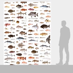 Ταπετσαρία DUTCH WALL DECOR NATURAL HISTORY NH250031-DWD