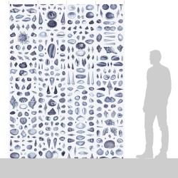 Ταπετσαρία DUTCH WALL DECOR NATURAL HISTORY NH250032-DWD