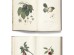 Ταπετσαρία DUTCH WALL DECOR NATURAL HISTORY NH250034-DWD