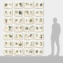 Ταπετσαρία DUTCH WALL DECOR NATURAL HISTORY NH250034-DWD