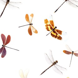 Ταπετσαρία DUTCH WALL DECOR NATURAL HISTORY NH250048-DWD
