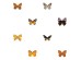 Ταπετσαρία DUTCH WALL DECOR NATURAL HISTORY NH250053-DWD