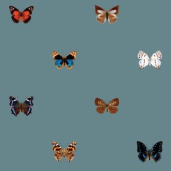Ταπετσαρία DUTCH WALL DECOR NATURAL HISTORY NH250056-DWD