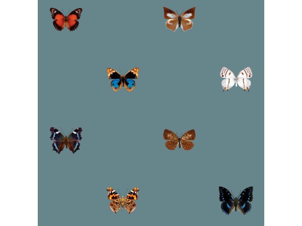 Ταπετσαρία DUTCH WALL DECOR NATURAL HISTORY NH250056-DWD