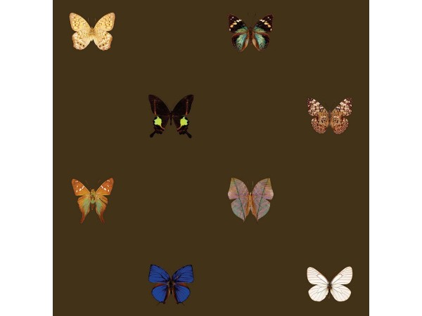 Ταπετσαρία DUTCH WALL DECOR NATURAL HISTORY NH250057-DWD