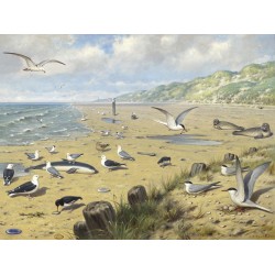 Ταπετσαρία DUTCH WALL DECOR NATURAL HISTORY NH250064-DWD