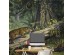 Ταπετσαρία DUTCH WALL DECOR NATURAL HISTORY NH250065-DWD